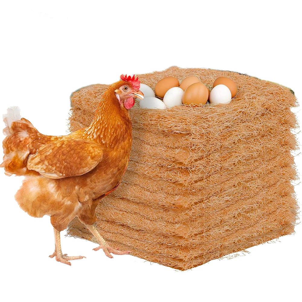 A brown hen stands next to a large nest of natural coconut coir for chicken coops, with several eggs visible.