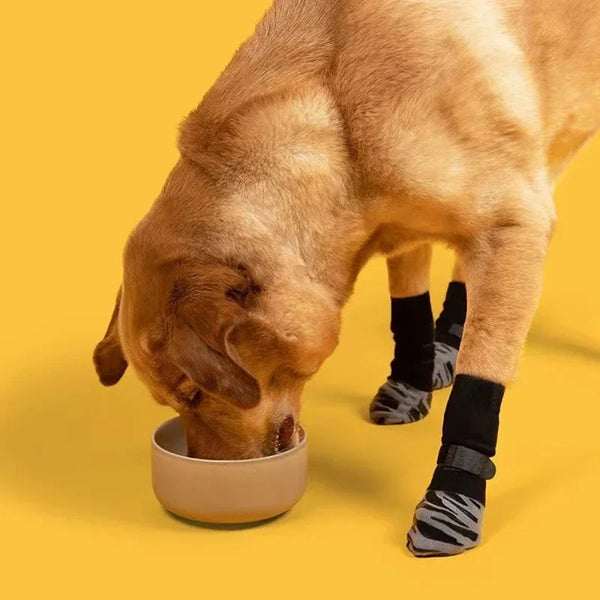 A light brown dog is licking food from a beige bowl while wearing anti-slip dog socks with traction straps.