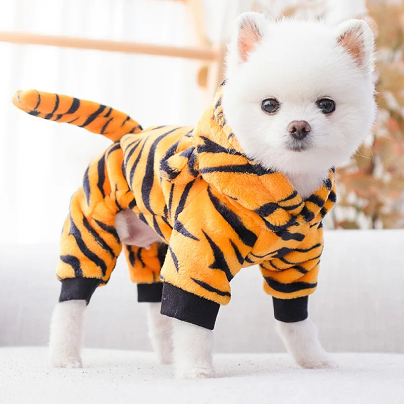A white dog wearing an orange and black striped fleece jumpsuit and hoody.
