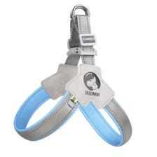 A gray and blue adjustable reflective mesh dog harness vest with a silver clip.
