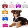A brown puppy wearing a collar, sitting next to various bone-shaped dog ID tags.