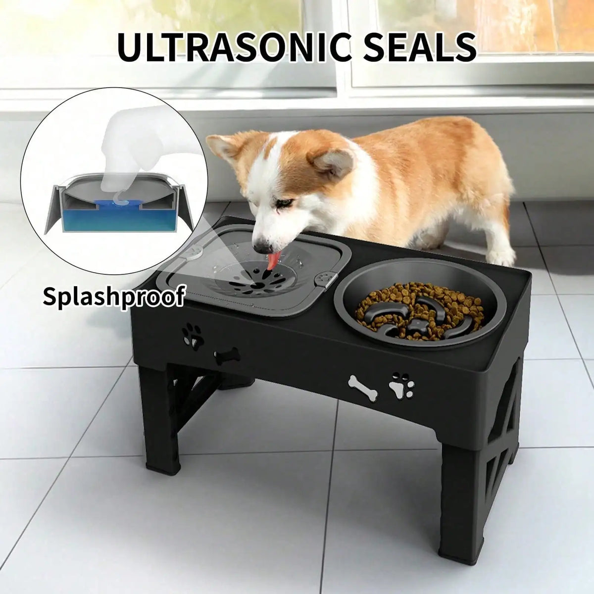An ultrasonic seal dog bowl stand is shown with a dog eating from it, demonstrating its splashproof feature.