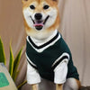 Un chien Shiba Inu portant un pull rayé vert et blanc, l'air heureux.