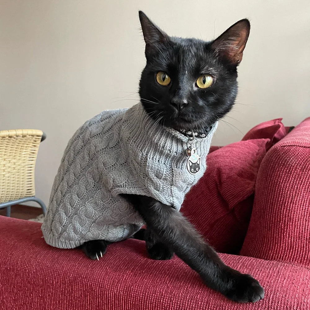 Eine schwarze Katze mit einem grauen Strickpullover sitzt auf einem roten Sofa.