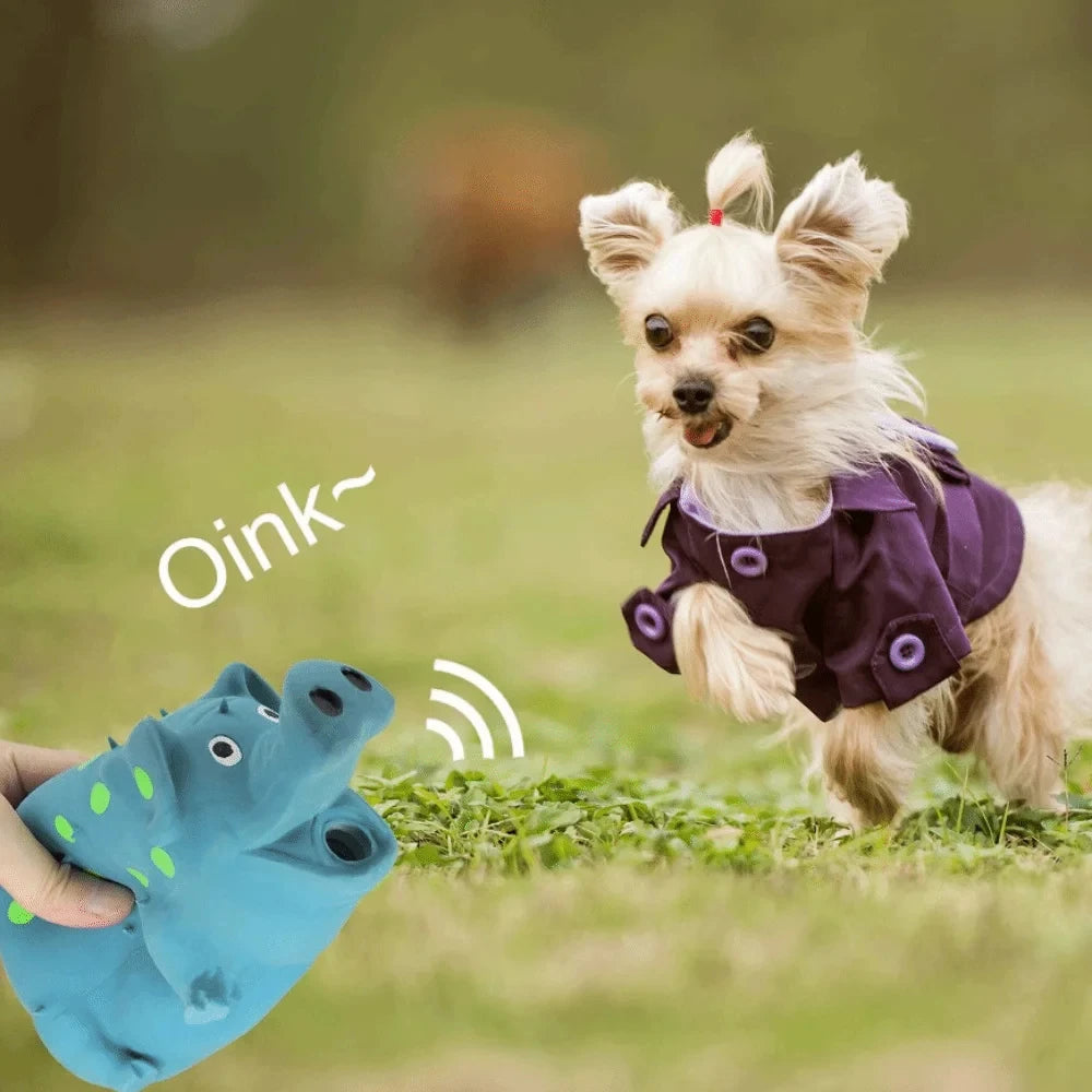 A small dog is playing with a blue squeaky toy while a hand holds the toy.