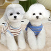 Two white fluffy dogs wearing striped cooling vests sitting on a light surface.