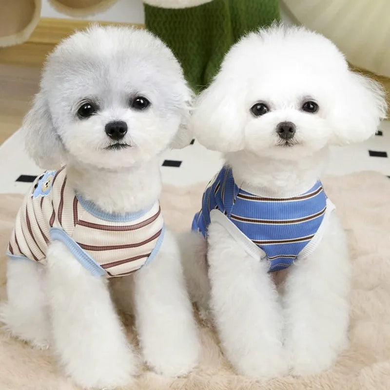 Two white fluffy dogs wearing striped cooling vests sitting on a light surface.