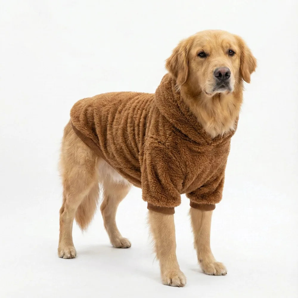 Goldener Labrador-Hund mit braunem flauschigem Fleece-Wintermantel vor weißem Hintergrund.