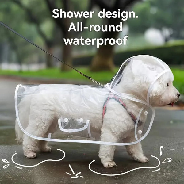 A white dog is wearing a clear waterproof raincoat designed for shower design and all-round waterproofing.