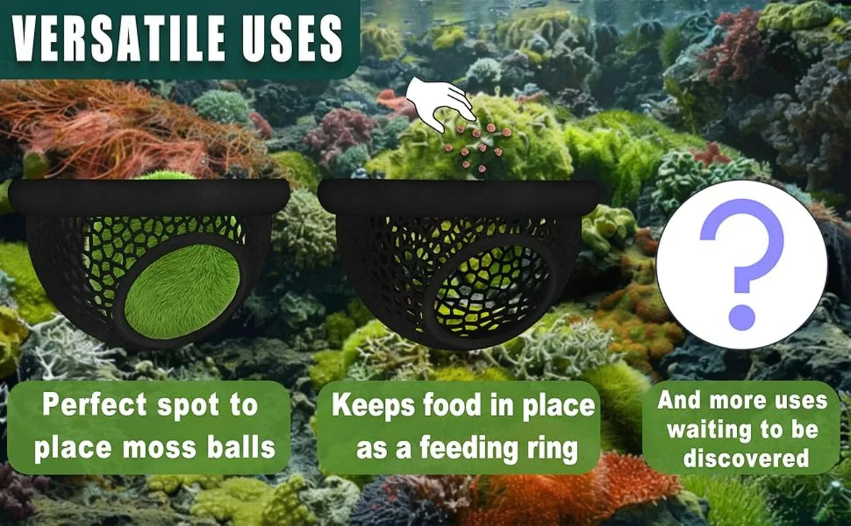 A black mesh hammock used for various aquarium decor, including moss balls and feeding rings.
