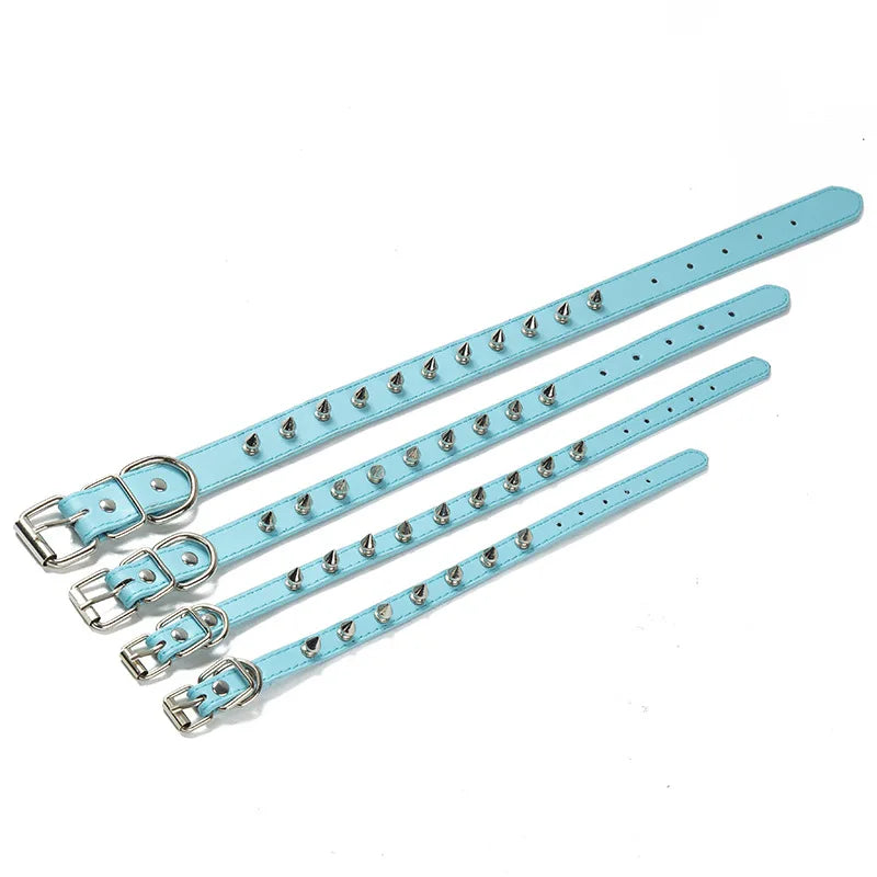 Light blue studded leather dog collar with metal rivets and silver buckle.