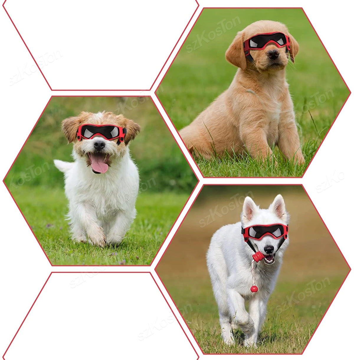 Three dogs wearing red and black adjustable UV protection sunglasses outdoors