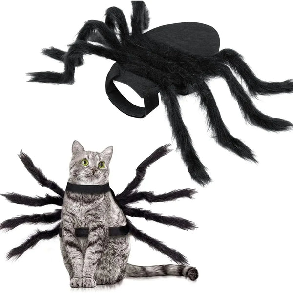 A black Halloween spider costume with long legs lying next to a tabby cat.