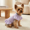 Un petit chien brun clair portant une robe tricotée violette à manches flottantes, assis sur un tapis crème.