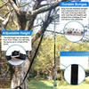 A bungee tug toy for dogs showing an elastic rope with adjustable handles hanging from a tree.
