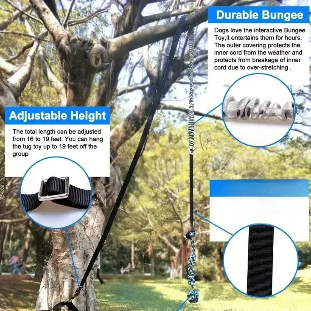 A bungee tug toy for dogs showing an elastic rope with adjustable handles hanging from a tree.
