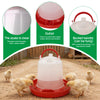 A white automatic chicken feeder and waterer combo set with a red base is shown outdoors on dirt ground.