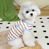 A fluffy white dog wearing a striped cooling vest sits on a light surface.