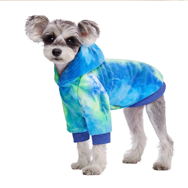 A small dog wearing a blue and green tie-dye fleece hoodie.
