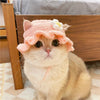 A fluffy cream-colored cat wearing a pink knitted pet hat with a white flower, sitting in front of a wooden frame.