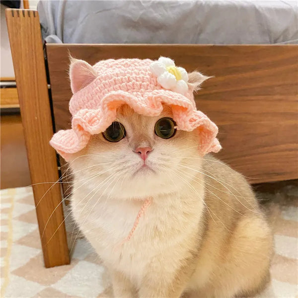 A fluffy cream-colored cat wearing a pink knitted pet hat with a white flower, sitting in front of a wooden frame.