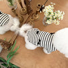 A striped dog dress with a white fluffy bow collar and flying sleeves displayed on a wooden surface.
