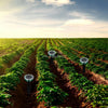 Row of plants with solar powered ultrasonic pest repellers installed in the soil.