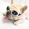A fawn-colored dog with a long tongue sticking out is wearing white-framed sunglasses for eye protection.