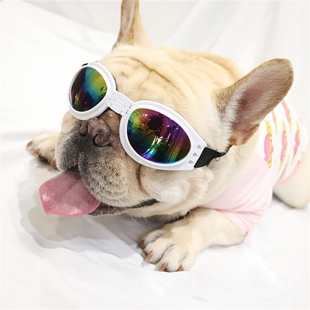 A fawn-colored dog with a long tongue sticking out is wearing white-framed sunglasses for eye protection.