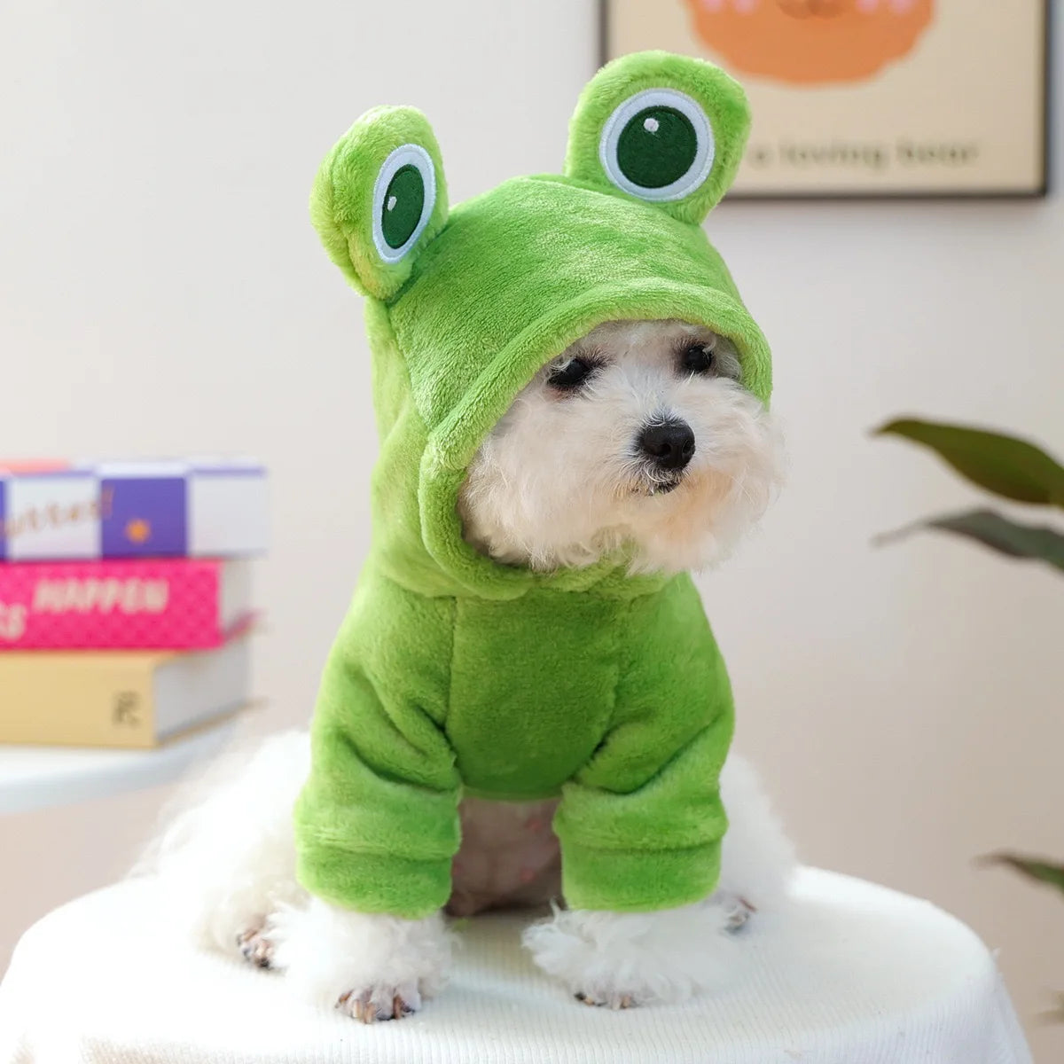 A small dog is dressed in a green fabric hoodie resembling a frog, sitting on a white surface.
