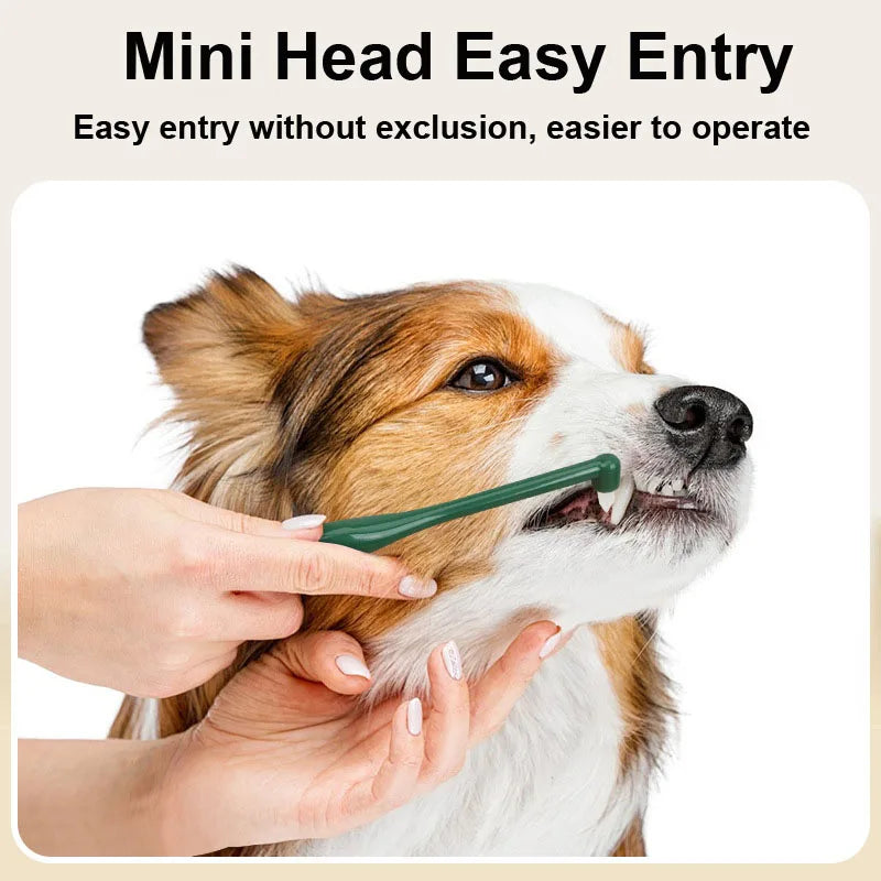 A person is using a mini head easy entry pet toothbrush on a dog's mouth.
