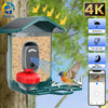Caméra d'alimentation pour oiseaux à énergie solaire, montée sur un arbre avec plateau de nourriture.