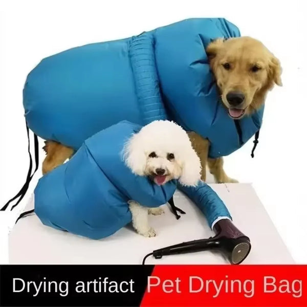 Ein golden Retriever ruht in einem blauen Hundetrockenbeutel.