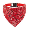 Rote Bandana mit weißem Paisley-Muster, befestigt an einem schwarzen, verstellbaren Kragenband