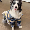 A fluffy dog wearing a blue and yellow striped thermal fleece sweater.