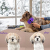 Before and after comparison of a pet grooming comb set showing the transformation of a dog's coat.