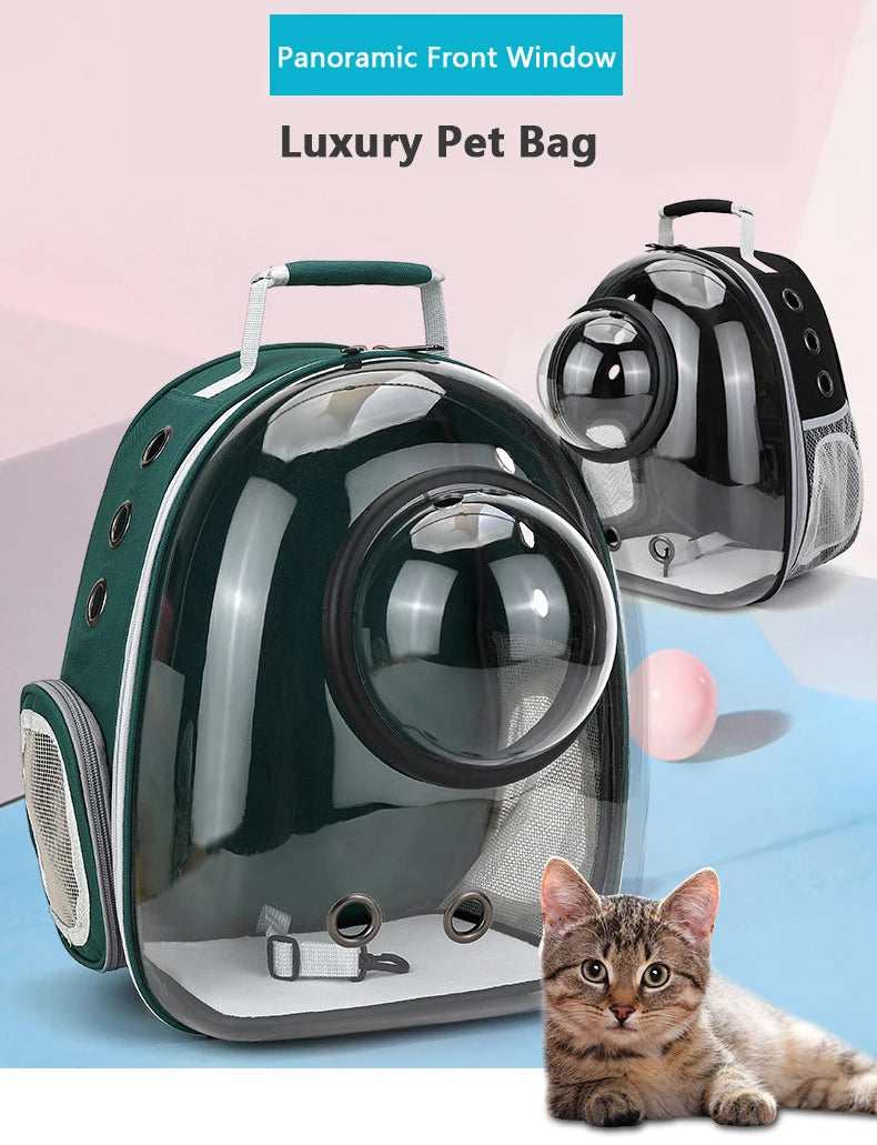 Luxuriöse Tiertasche in dunkelgrün und klarem Kunststoff mit einer dösenden Katze darin.