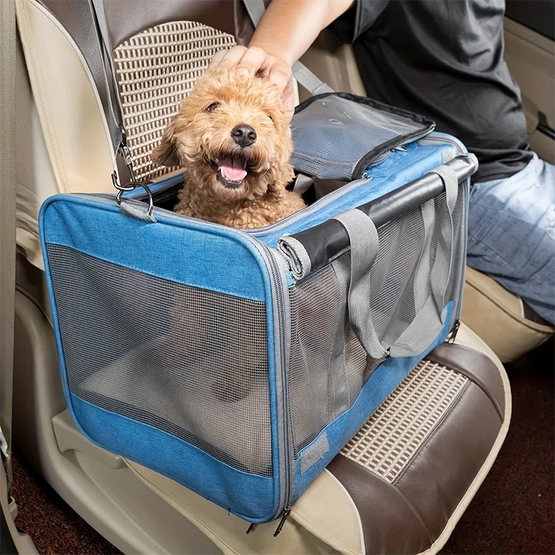 A person is placing a small, light brown dog into a blue and gray breathable mesh pet carrier bag inside a car.