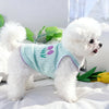 Un perro blanco peludo con un collar de mascota azul claro en un entorno interior brillante.