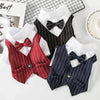 Colección de trajes a rayas clásicos para perros y gatos en rojo, azul marino y negro.