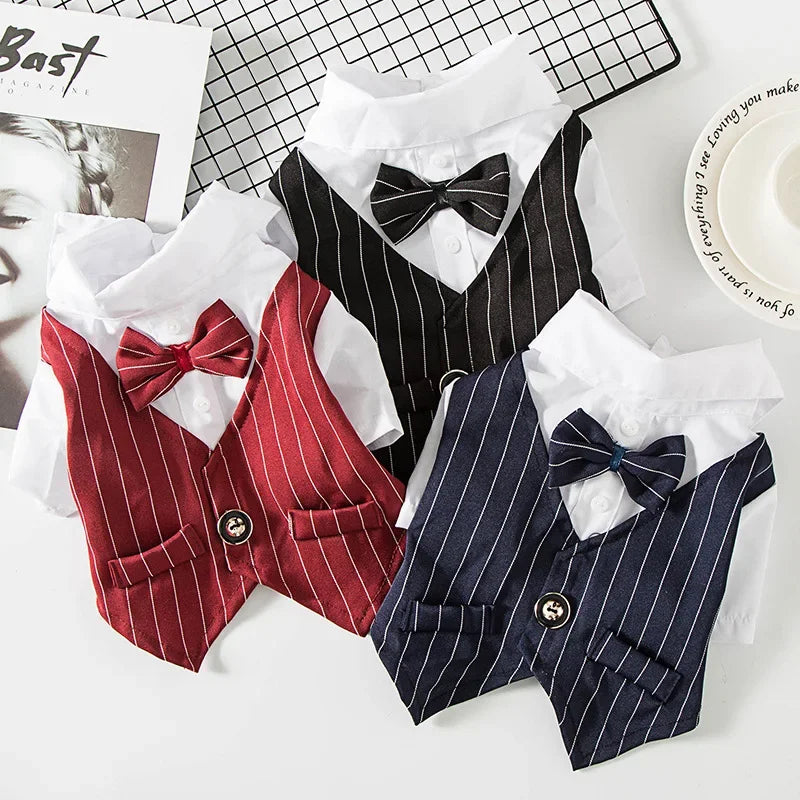 Colección de trajes a rayas clásicos para perros y gatos en rojo, azul marino y negro.