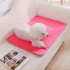 A white poodle lies on a pink reusable washable pet training mat inside a white sofa.