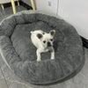 Ein weißer Französische Bulldogge ruht auf einem grauen, ovalen Hundebett.