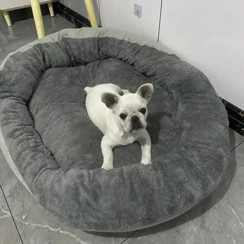 Ein weißer Französische Bulldogge ruht auf einem grauen, ovalen Hundebett.