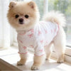 A fluffy cream colored dog wearing a white knit sweater with pink bows.