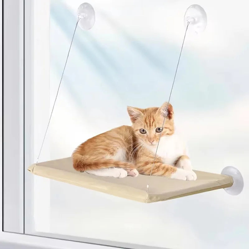 A small orange and white cat is resting on a suction cup window hammock bed installed in a window.