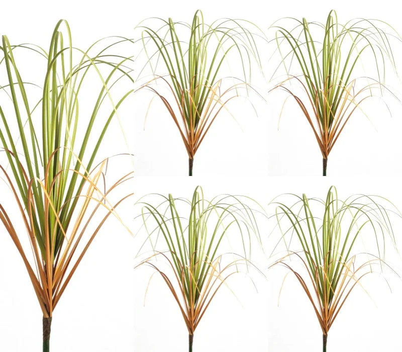 Quatre vues d'une plante décorative miniature de jardin à l'oignon, montrant des lames vertes et brunes.