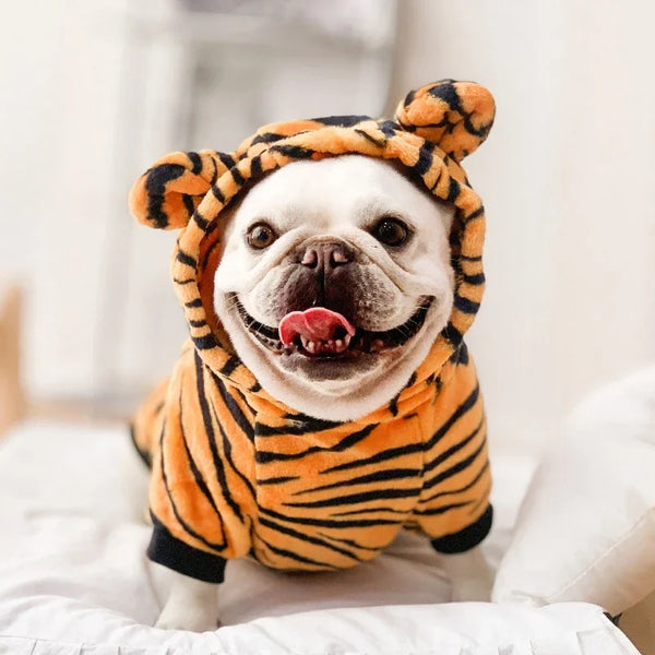 Un bouledogue portant un sweat à capuche en polaire rayé orange et noir avec la tête sortie.