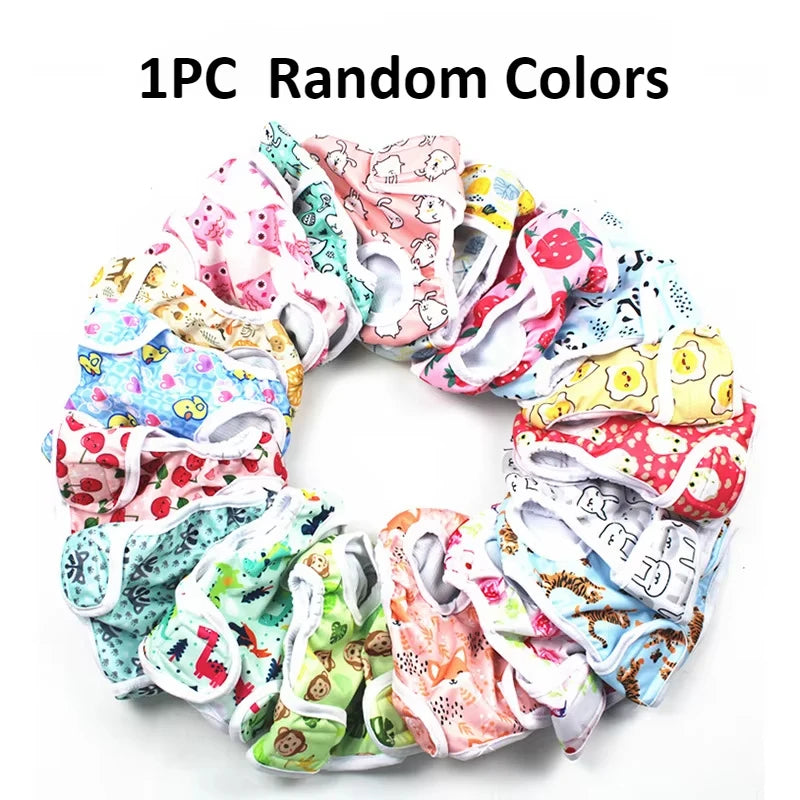 One piece of random colored reusable female dog physiological panties