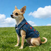 A light brown dog wearing a denim pet jacket with strawberry embroidery, standing in a green field under a blue sky.
